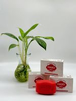 XÀ PHÒNG BÁNH HASO KEA HƯƠNG NƯỚC HOA 90G